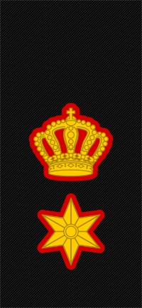 Lieutenant Colonel insignia